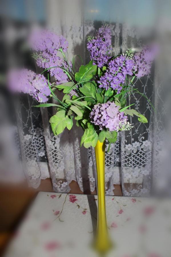 Pati Apartament Slonko Wisła Buitenkant foto