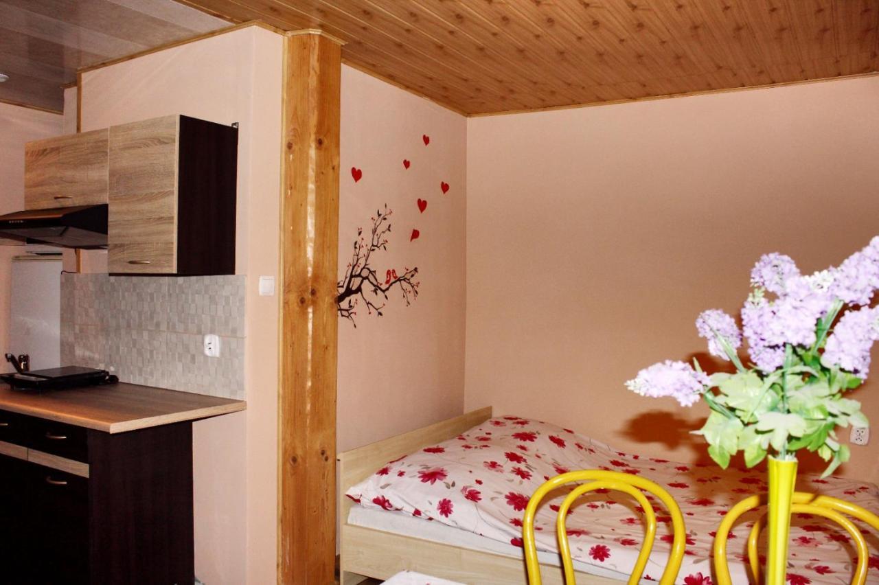 Pati Apartament Slonko Wisła Buitenkant foto